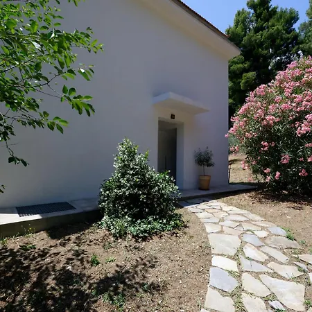 Natura,infinity Pool Overlooking The Aegean Стафилос